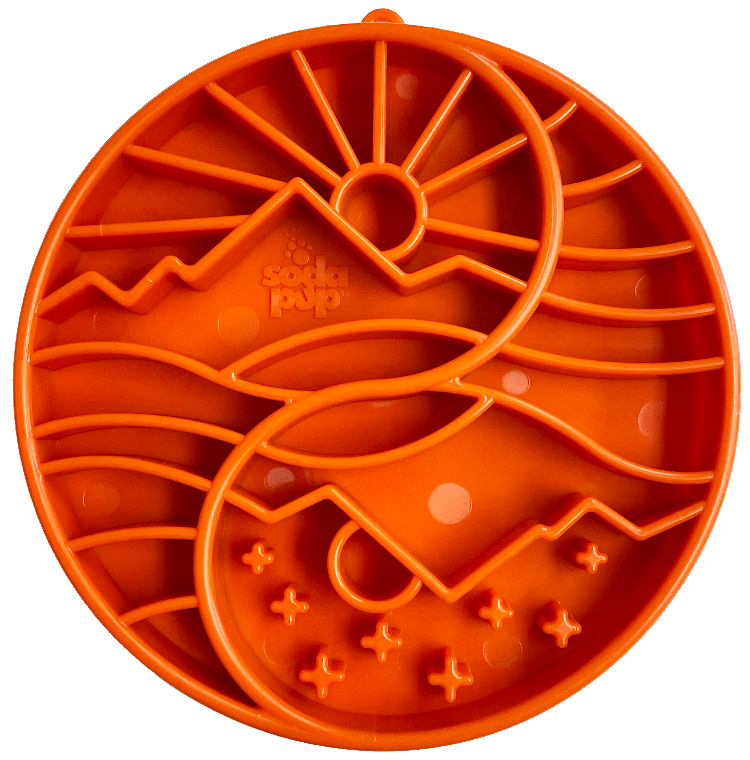 Bol Yin Yang – Alimentation lente & enrichissement