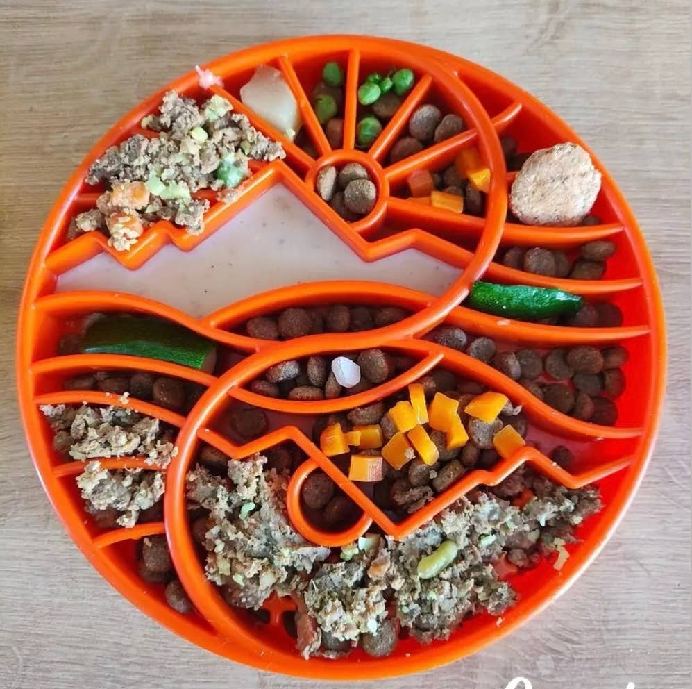 Bol Yin Yang – Alimentation lente & enrichissement