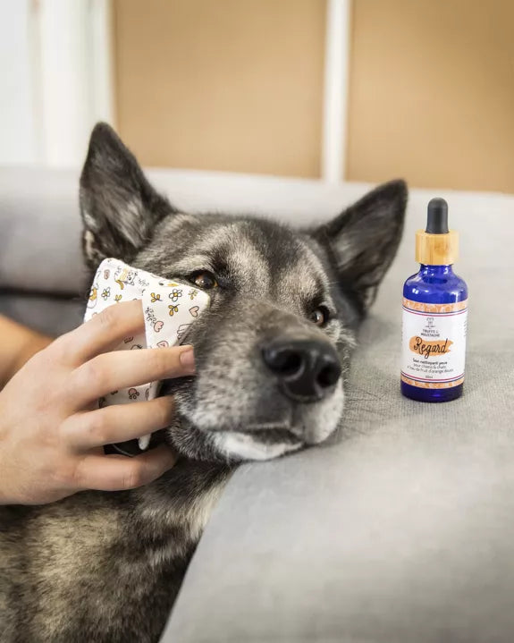 Soin nettoyant pour les yeux chiens & chats, "Regard"