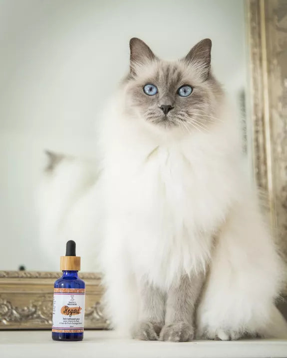 Soin nettoyant pour les yeux chiens & chats, "Regard"