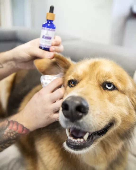 Soin nettoyant pour les oreilles chiens & chats, "Murmure"