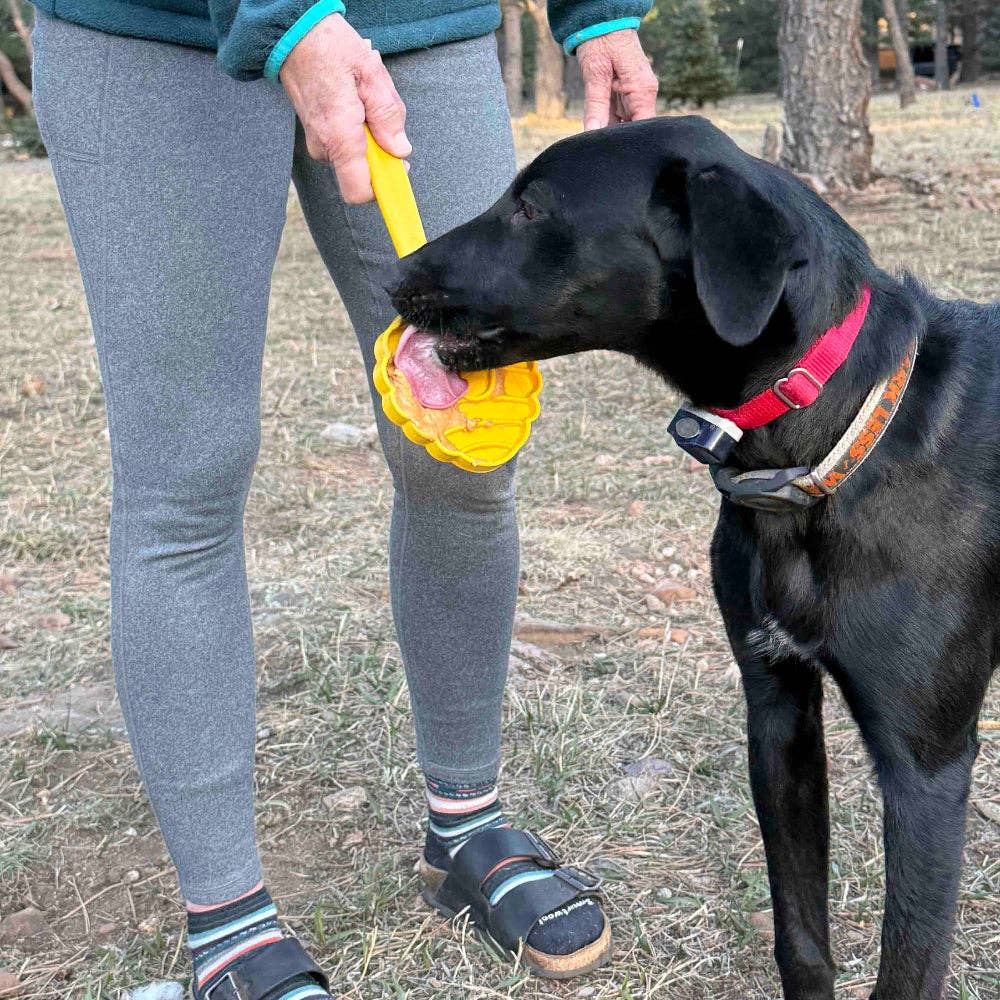 Jouets interactifs Lick Stick