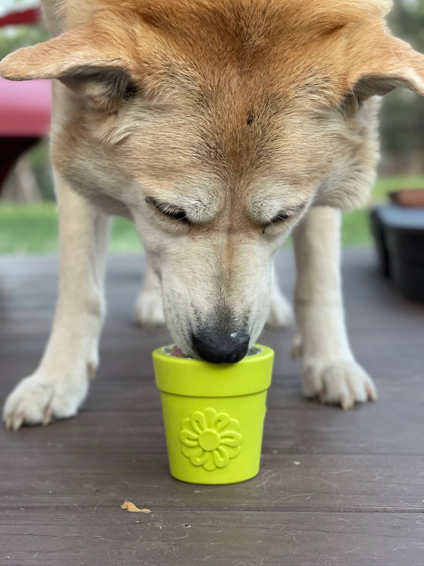 Flower Pot – Le pot de fleurs gourmand