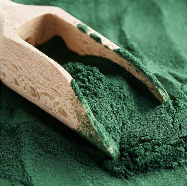 Spiruline verte - Garniture de repas pour chiens et chats