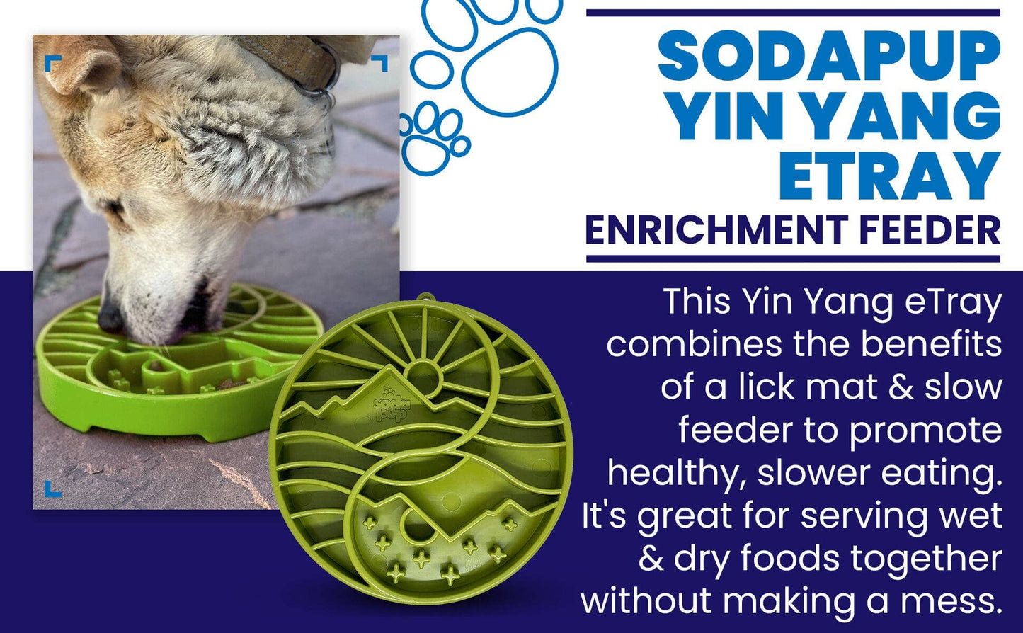 Bol Yin Yang – Alimentation lente & enrichissement