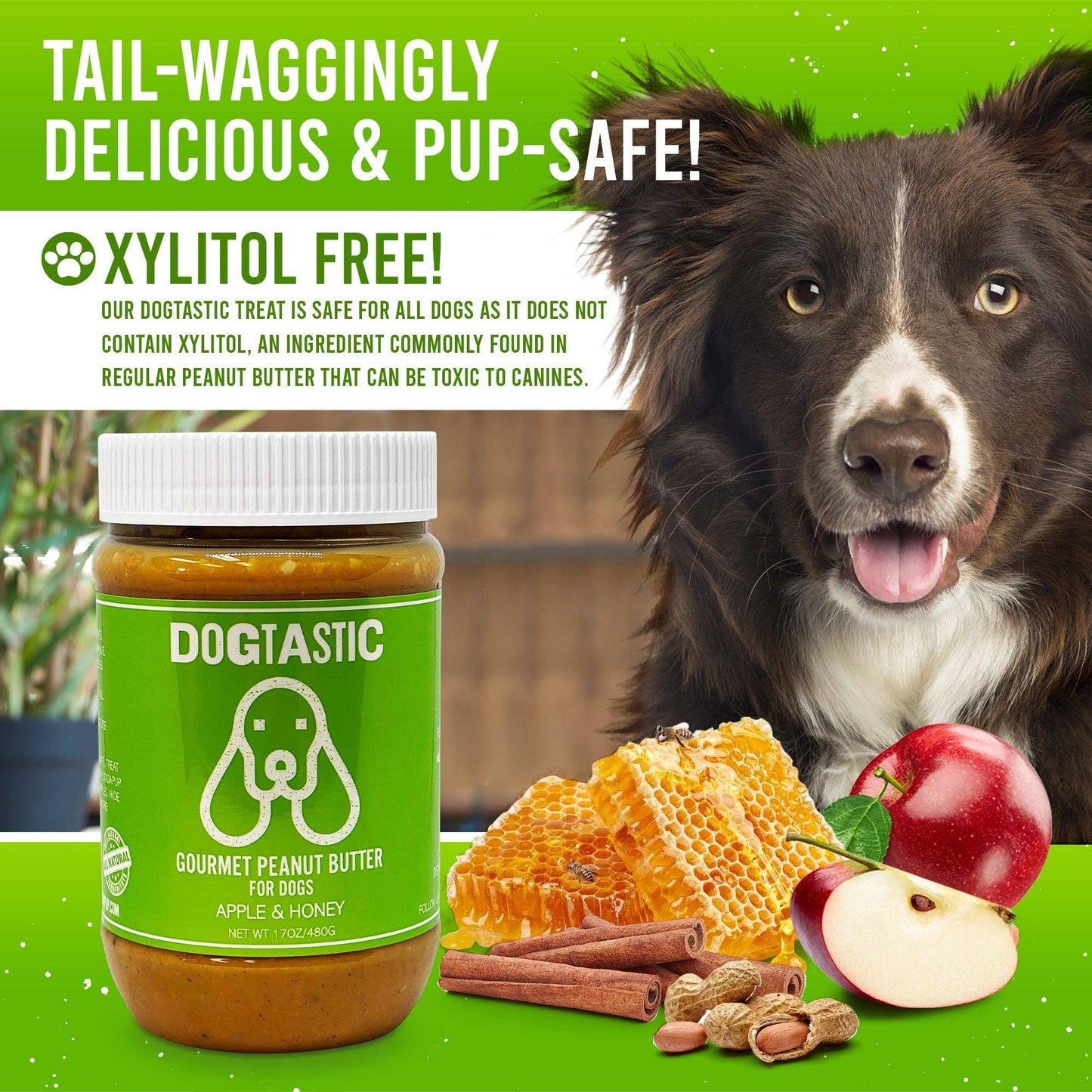 Dogtastic Beurre de Cacahuète Gourmet pour Chiens - Graines de Lin