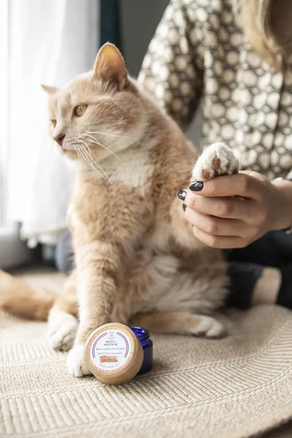 Baume de Soin Hydratant Truffe & Coussinets pour chiens & chats, "Velours"