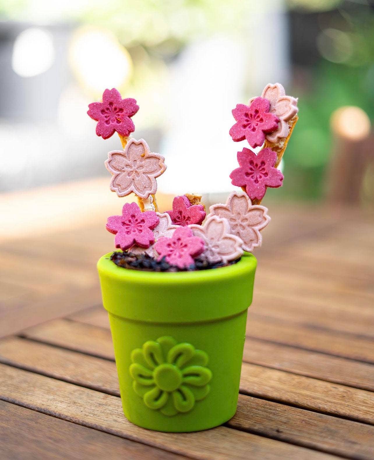 Flower Pot – Le pot de fleurs gourmand
