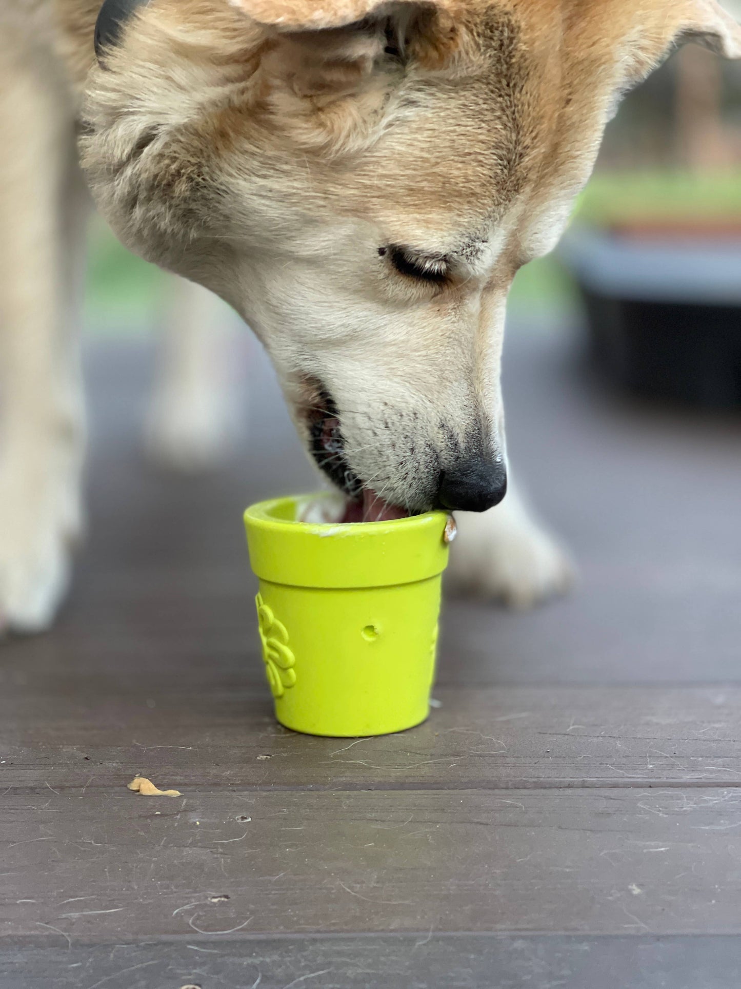 Flower Pot – Le pot de fleurs gourmand
