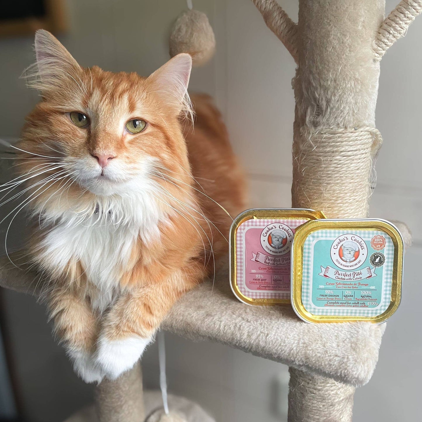 Pâté de poulet pour chat.