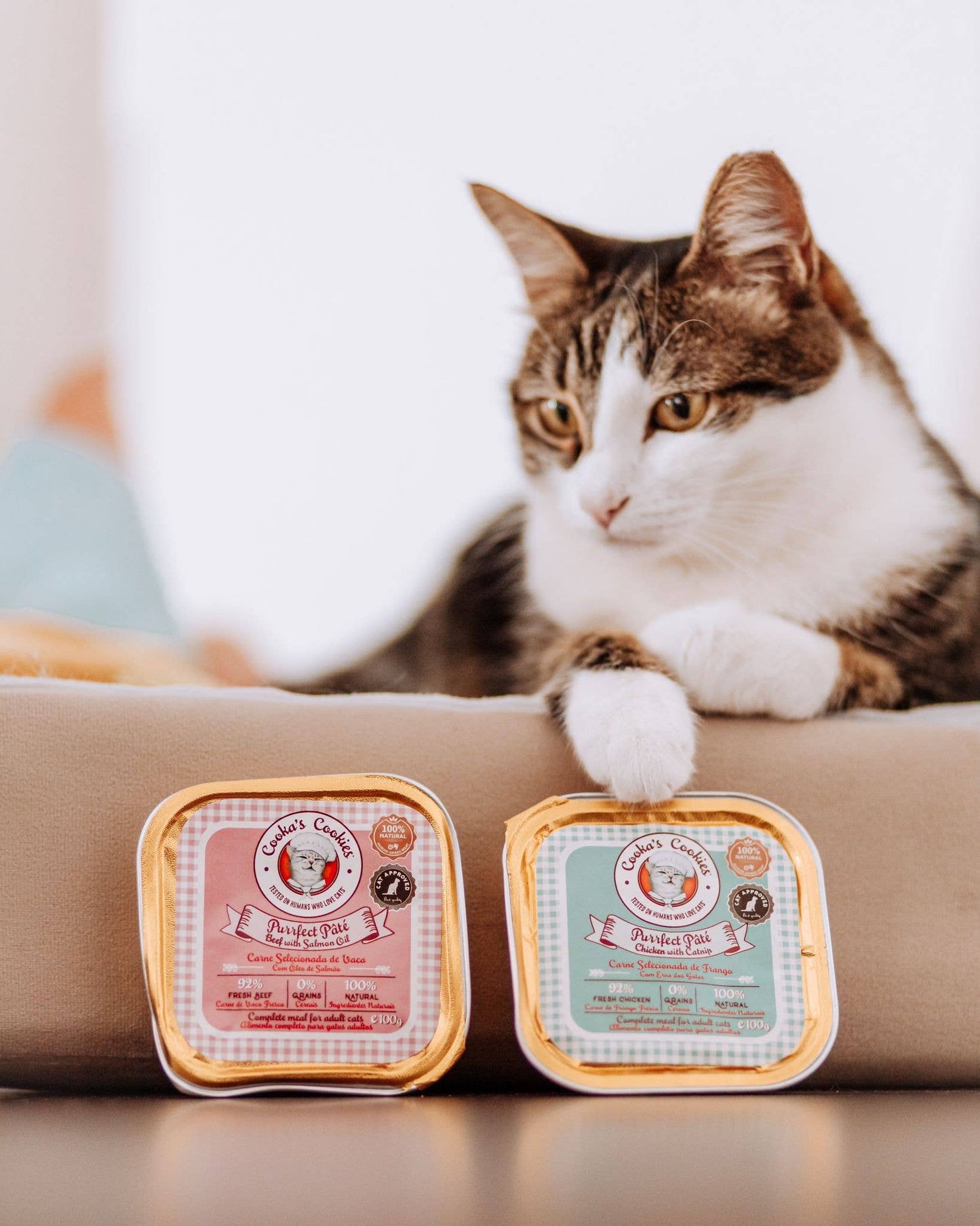 Pâté de poulet pour chat.
