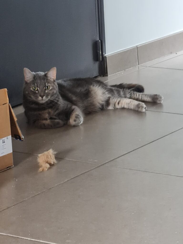 Souvenirs de garde 20220721 105709