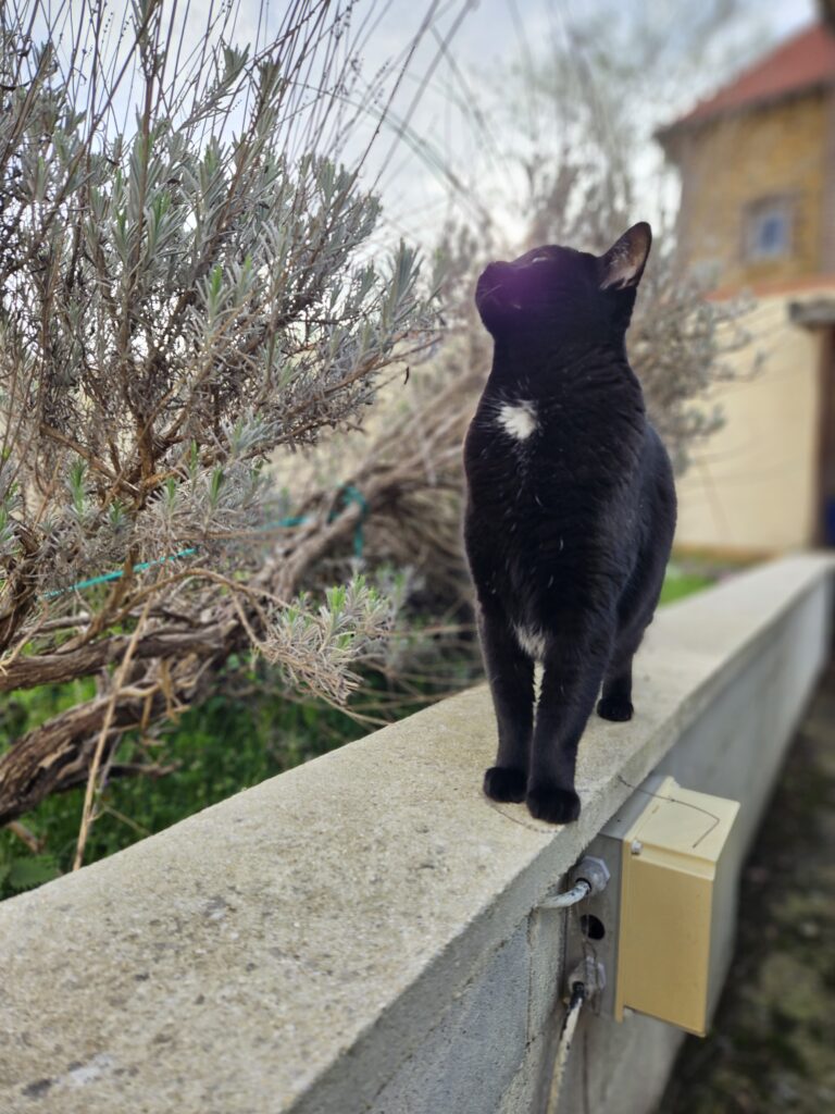 Souvenirs de garde 20230331 181157