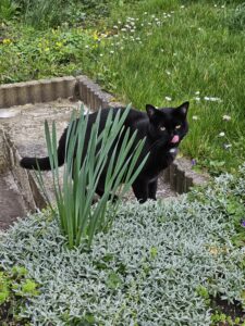 Souvenirs de garde 20230401 182532