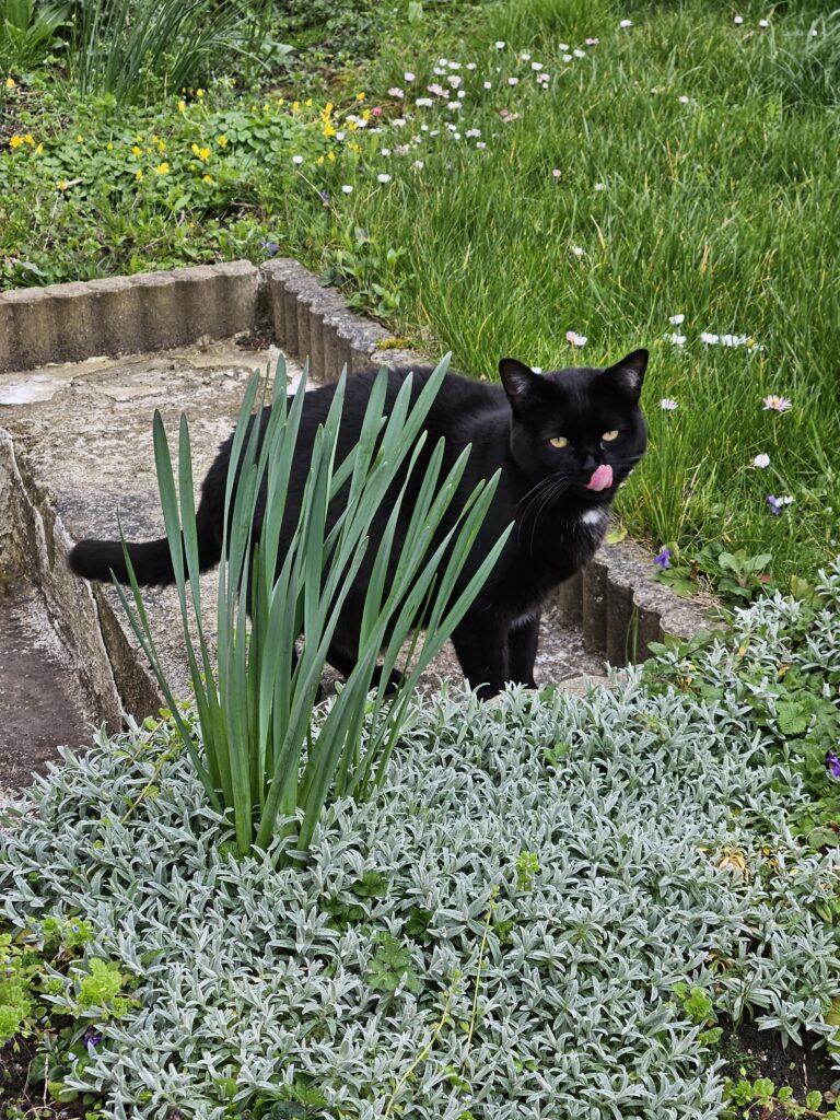 Souvenirs de garde 20230401 182532