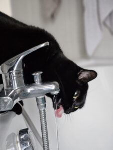 Souvenirs de garde 20230402 103453