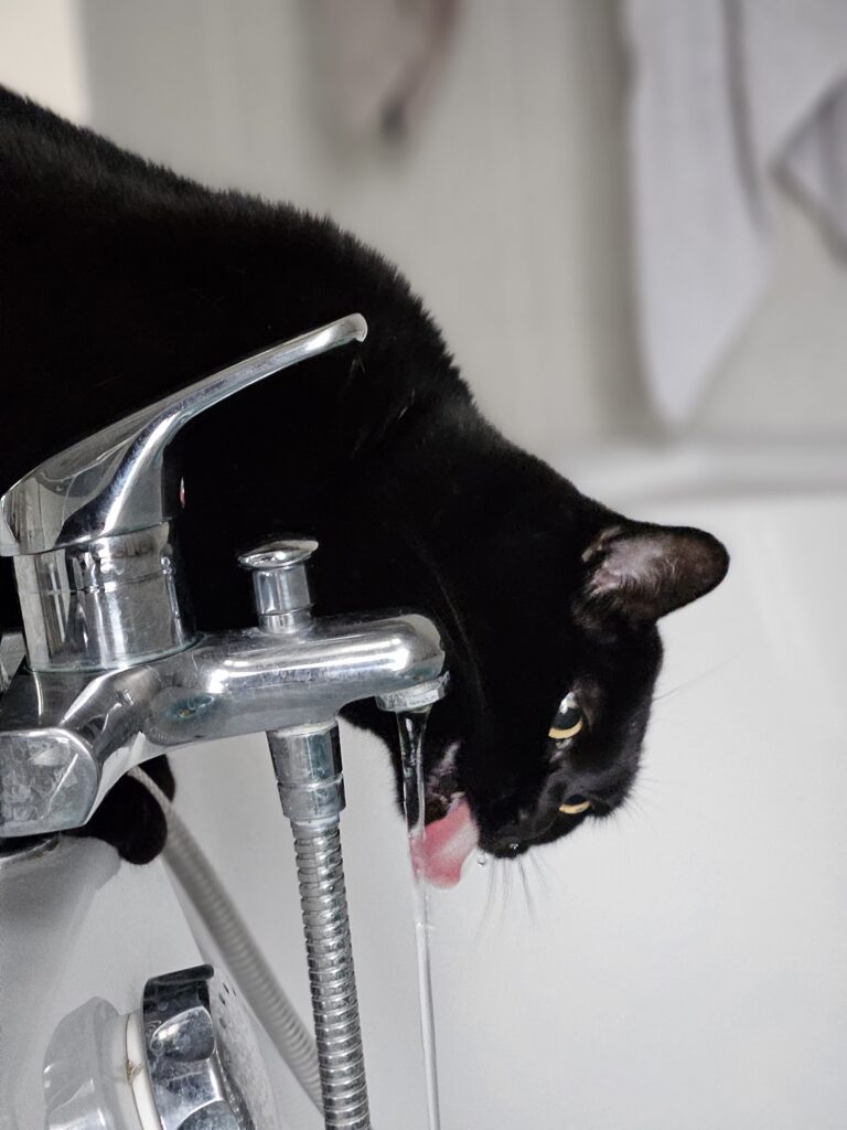 Souvenirs de garde 20230402 103453