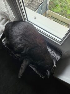 Souvenirs de garde 20230402 185446