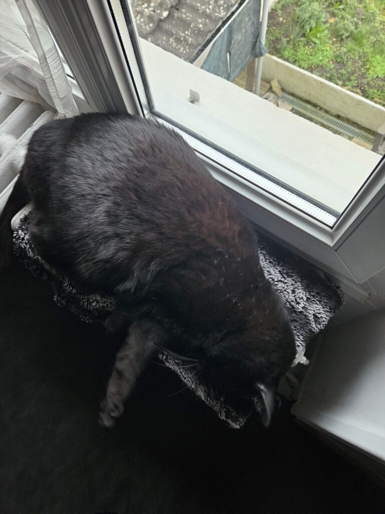 Souvenirs de garde 20230402 185446