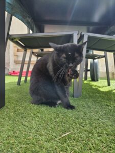 Souvenirs de garde 20230707 150325