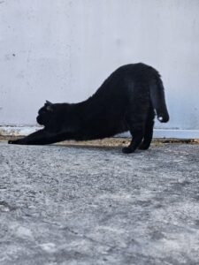 Souvenirs de garde 20230708 070124