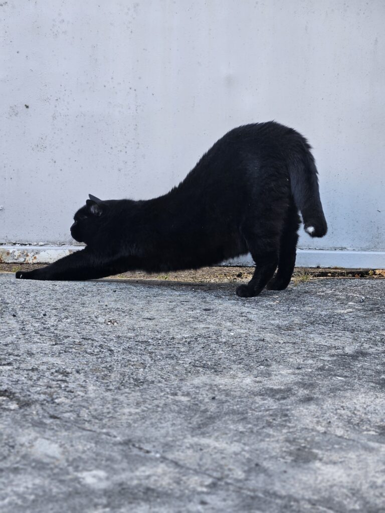 Souvenirs de garde 20230708 070124