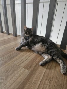 Souvenirs de garde 20240709 161806