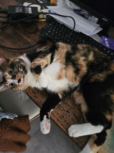 Souvenirs de garde 20240709 161954