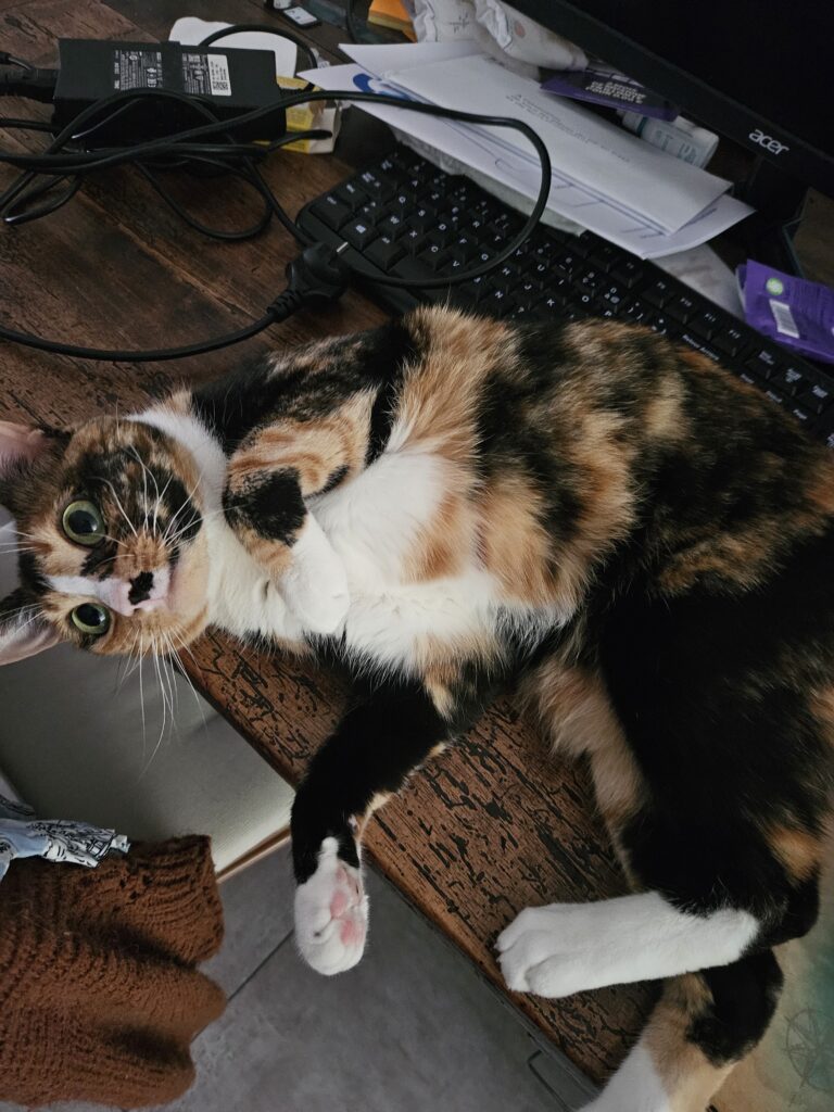 Souvenirs de garde 20240709 161954