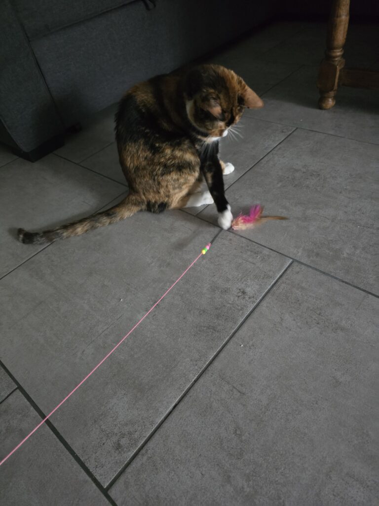 Souvenirs de garde 20250716 121004