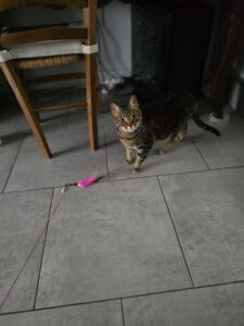 Souvenirs de garde 20250716 122456