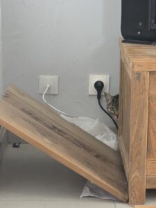 Souvenirs de garde 20250720 123423