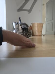 Souvenirs de garde 20250722 175448