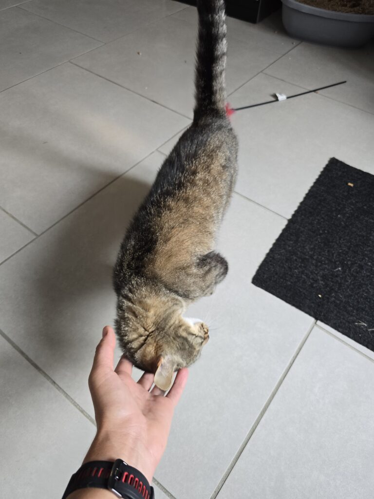 Souvenirs de garde 20250724 125254