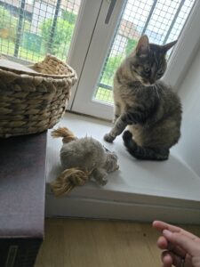 Souvenirs de garde 20250724 130435