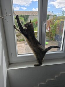 Souvenirs de garde 20250730 164437