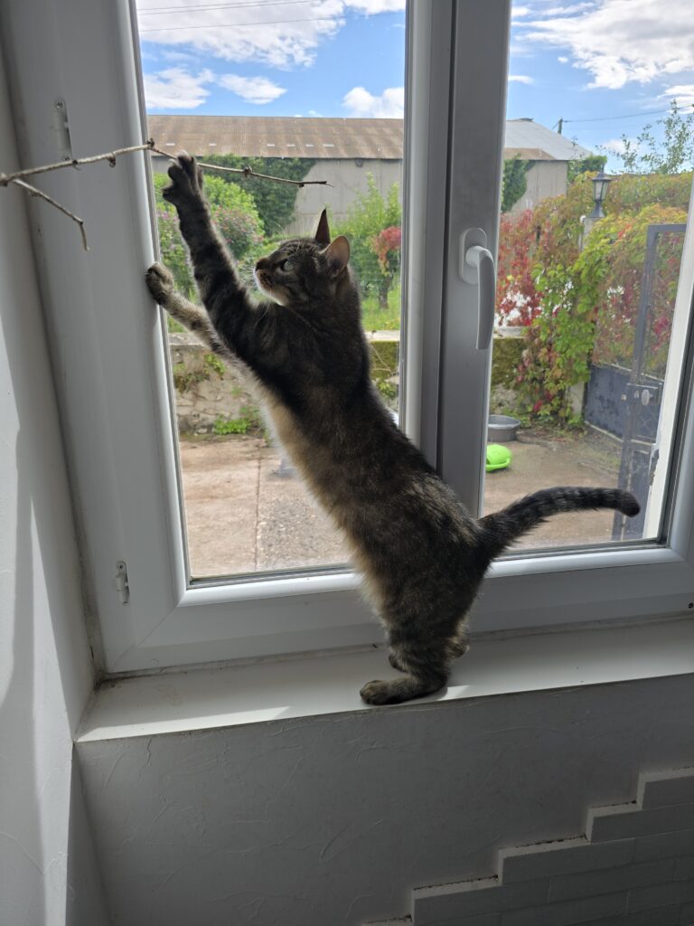 Souvenirs de garde 20250730 164437