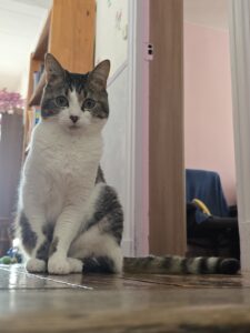 Souvenirs de garde 20250802 120503