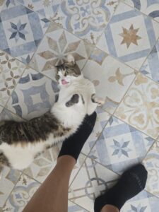 Souvenirs de garde 20250803 121727