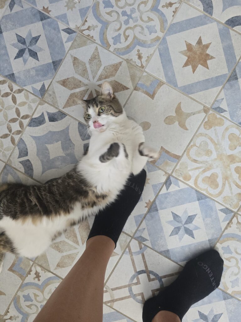 Souvenirs de garde 20250803 121727