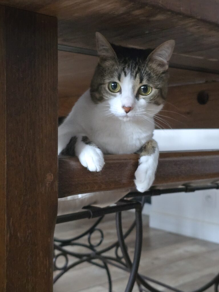 Souvenirs de garde 20250803 123902