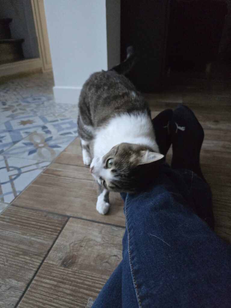 Souvenirs de garde 20250806 183822