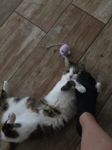 Souvenirs de garde 20250808 165033