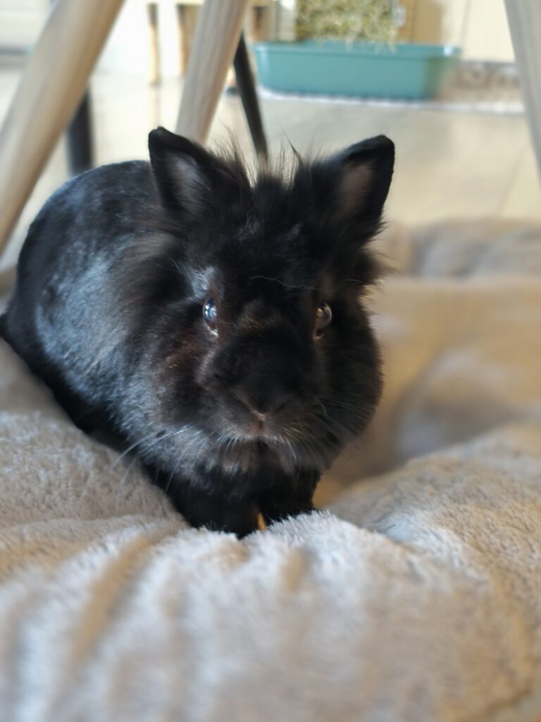 Souvenirs de garde 20250810 194005