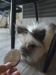 Souvenirs de garde 20250810 194137