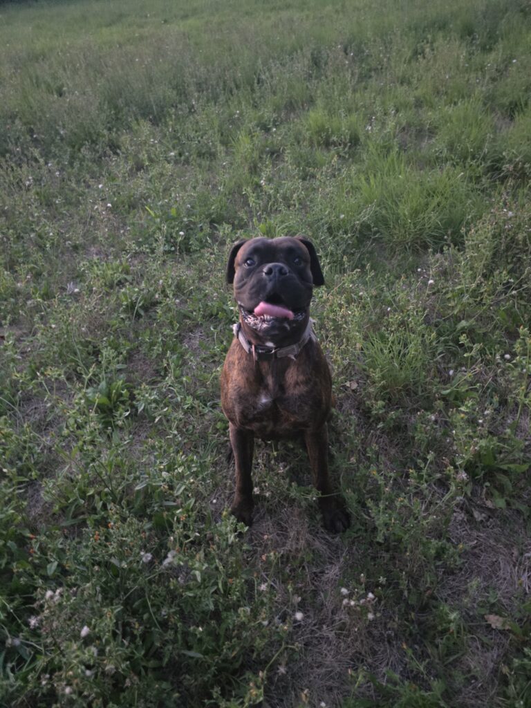 Souvenirs de garde 20250810 213833