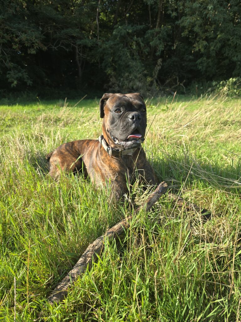 Souvenirs de garde 20250811 092428