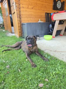 Souvenirs de garde 20250811 094836