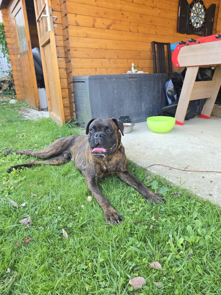 Souvenirs de garde 20250811 094836