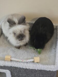 Souvenirs de garde 20250811 155923